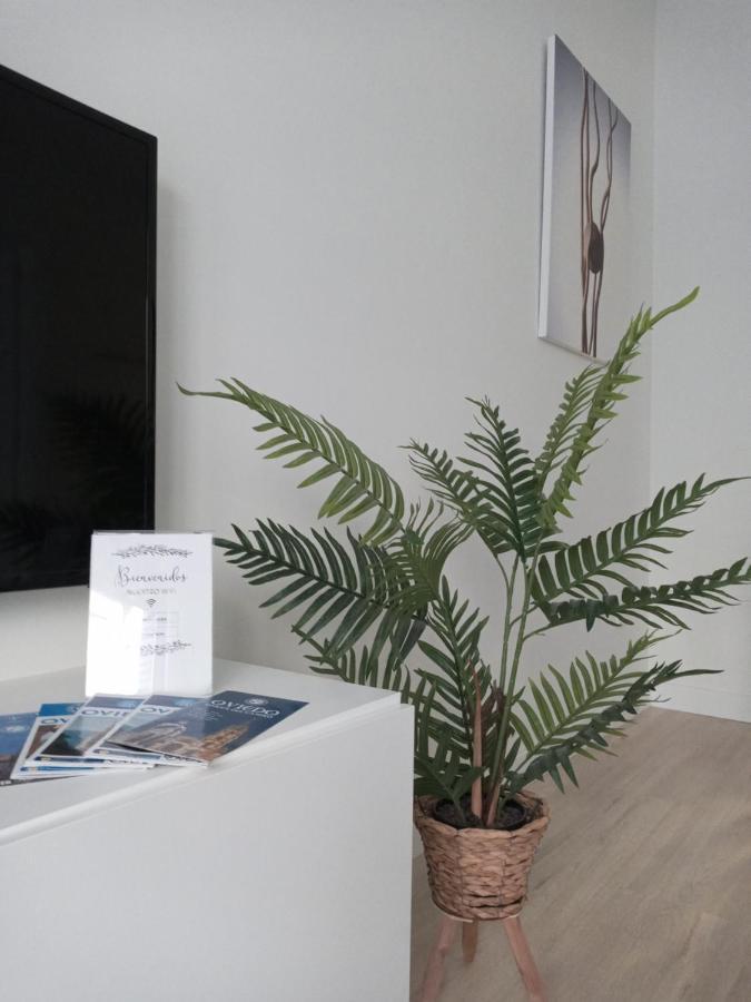 Апартаменты La Terraza De La Vega - Ubicacion Inmejorable , Wifi , Terraza Y Parking Gratuito Овьедо Экстерьер фото